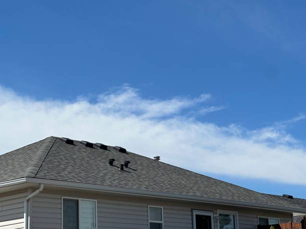 Best Asphalt Shingles Roofing  in Conrad, MT